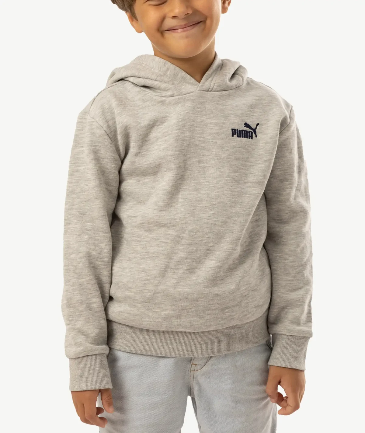 E-213010004-008_A Hoodies Puma Gris – Image 1